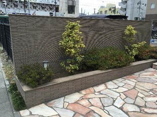 ベルテサクラ（熊谷市桜木町）の物件外観写真